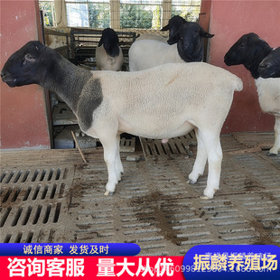 �с��h�Ų��d����^��� ��Դ�Ų��d������N��