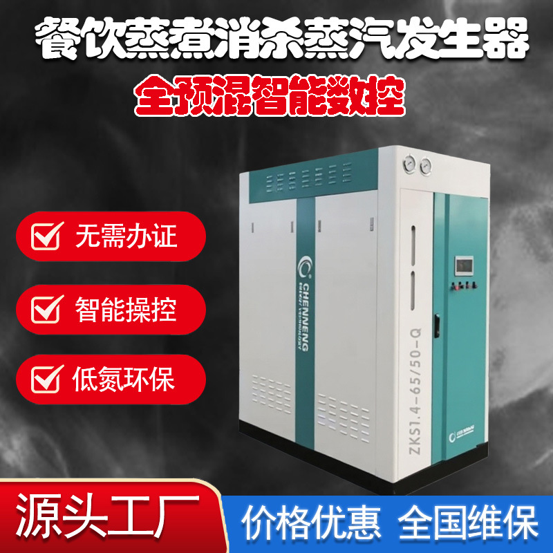 燃气蒸汽发生器 餐饮小吃店全自动立式蒸汽蒸煮锅炉 节能高效