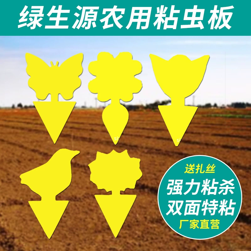 Липкая доска от насекомых Двусторонняя желтая доска Амазонка Липкая доска от насекомых Бабочка в форме цветка специальной формы Водонепроницаемое зеленое растение в горшке