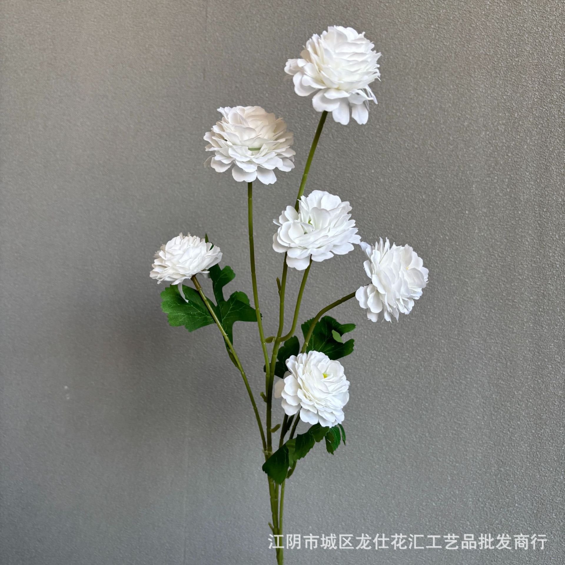 6개입 프랑스산 볼