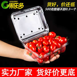 水果塑料盒一次性包装盒一斤装透明水果店500M带盖网红草莓打包盒