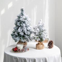 厂家批发圣诞桌面植绒树40cm50cm积雪圣诞树圣诞节桌面装饰