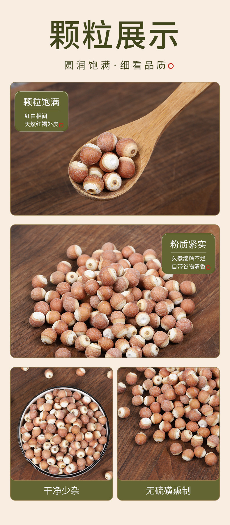 Organic Dried Gorgon Fruit Qian Shi 12mm Red Skin Euryale Seeds for Soup Congee and Four Spirits Decoction 250g quality and texture