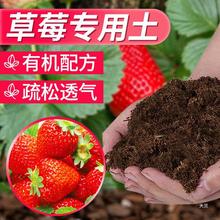 草莓营养土瓜果树通用土壤草莓盆栽种植土阳台有机土批发
