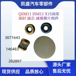 Cummins Qsm11 Ism11 Yağ Nasosu Yağ Keçəsi 3071643 3084713 Filtr Elementi 146483 Diafraqma 202897