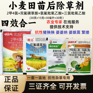 С�����݄�2��4���p���ǲݰ��ȷ���������������������