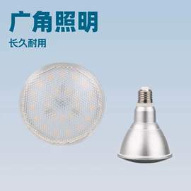 LED灯杯;LED球泡灯;PAR灯