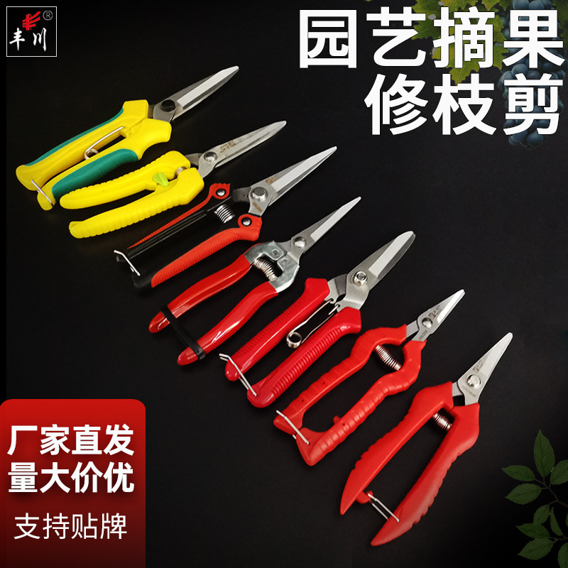 厂家批发 稀果剪 韩国剪线槽剪摘果剪 葡萄剪  蔬花剪修枝剪