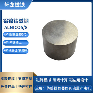 �ߜ��X�⒴�� ALNICO5 �x���x��΢늙C�������������Ŵ�䓶���