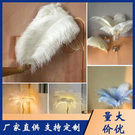 厂家直销15-75cm鸵鸟毛教师节舞台演出白色羽毛婚庆diy装饰批发