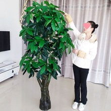 ����lؔ���ֲ�����Կ͏d�٘��҃��b������ػ��ٻ����;Gֲ