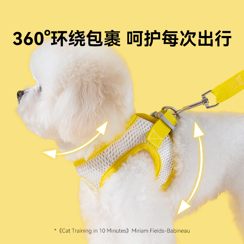 Perro paseando cuerda para perros gatos lindos transpirables cuatro estaciones chaleco perro pequeño cinturón de pecho para mascotas cuerda de tracción