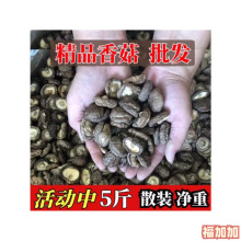 新货香菇干货 2500g干香菇 冬菇 黄焖鸡米饭香菇  散装 5斤装