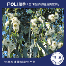 �{�z�ȼ�������ԭҺ ��Ȼ����ԭ�����l �H�谴Ħ�η�������޹