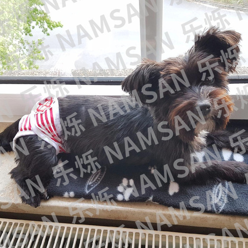 Pet Clothes Menstrual Pants Striped Teddy Menstrual Dog Underwear Dog Clothes Clothing Manufacturer Wholesale Dropshipping Direct Sales