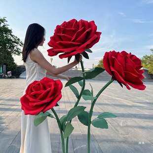 ���ͼ�ˇõ�廨���ͻ�c���������b�Y��EVA��ˮ����󼈻�
