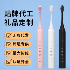 电动牙刷;个护电器配件;冲牙器