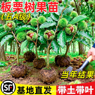 ���������޽ӹ������ϱ���ͥԺ�Nֲ����Y���������ش�̖�ļ���