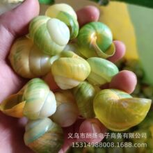 ΁ţ�G�S�O��ؐ���������lϡ�мľ�з������Q���b[�O�˱��ղ�