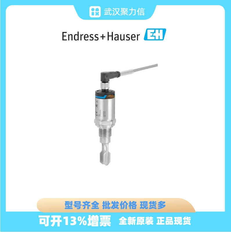 E+H Endresshaus точечный FTL31-AA4U3BAWSJ вилочный уровнемер FTL31-11V0/0