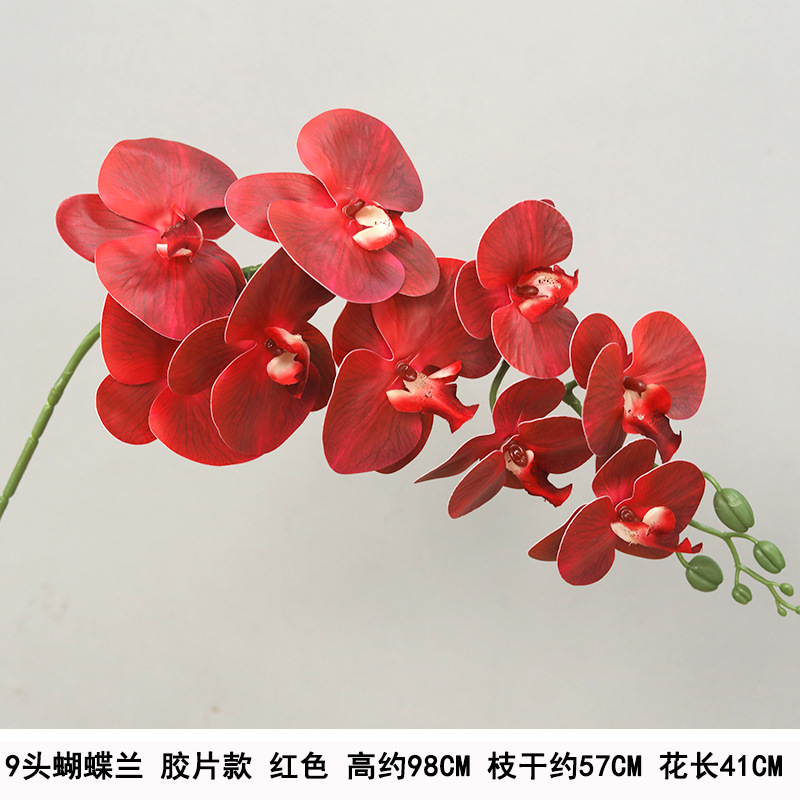 9-head film waterproof phalaenopsis red "thickened"