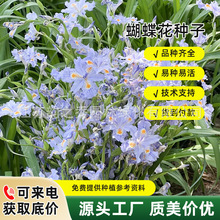 羳NӺļ׷Nͺͥ͟Ժ¹N