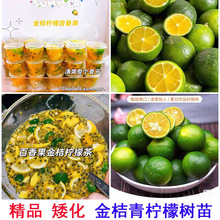 ���Ͻ�������ʘ���С����ļ�����箔��Y��ͥԺ�̨���Թ�����