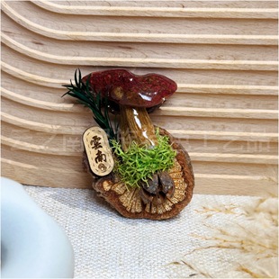 ����������������NĢ�������湽���������N��ɫ���μo��Ʒ�Y��