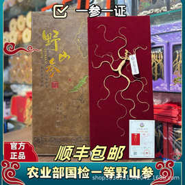 东北长白山特产人参林下参山参礼盒国检野山参年货随手礼包邮野生