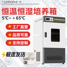 ������������B�� ù�������a�ؐa�����B�� �a�ؐa��ԇ���S��