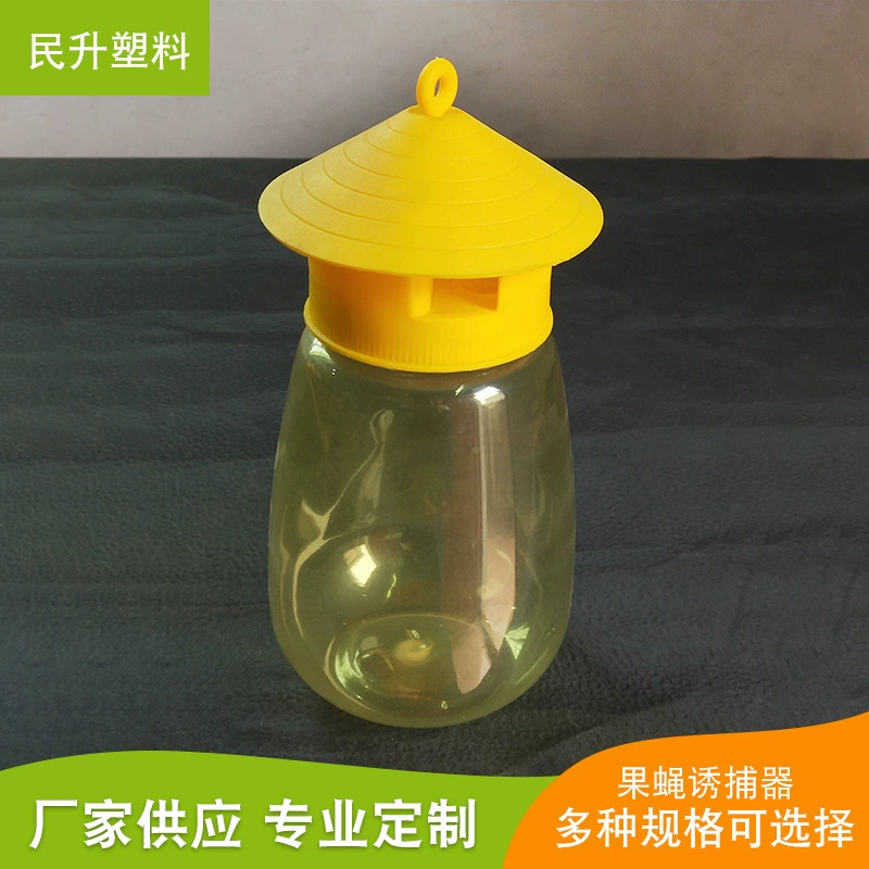 Дыни плодная муха игла пчелиная ловушка