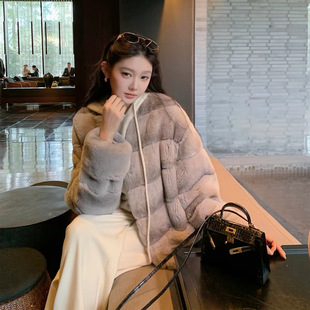 [�C���ٸ�]�pɫ��Ⱦ�H��ëƤ������2026�ﶬ�¿��_��ë����