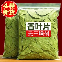 �V�����~���x�����~��؛��؛�¹��~�خa���ϏN�������u�����l