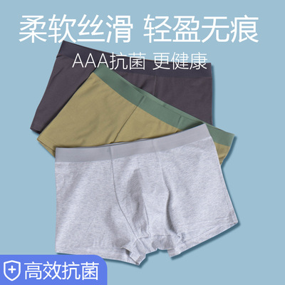 新款透氣40支棉高彈柔軟舒適男士平角內褲抗菌中腰男短褲現貨批發