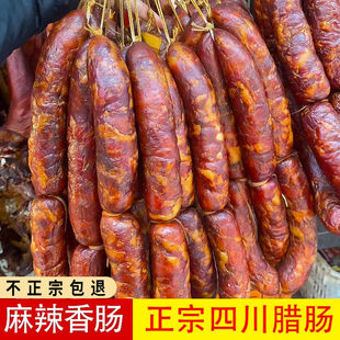 �Ĵ��خa��Ѭ�����D�c�Vζ���c�r���������c�ͶY���l�ص��Lζ�Dζ