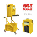 53L便携式挂壁式洗眼器53L推车式洗眼器验厂实验室紧急洗眼器优惠