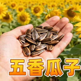 瓜子