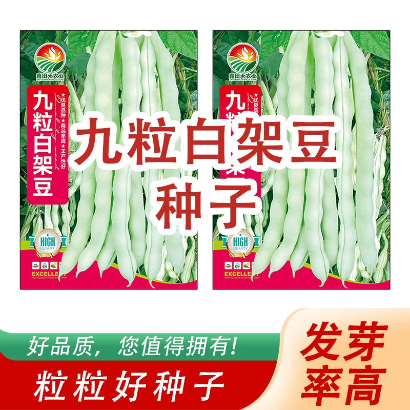 Девять семян белых бобов в белой рамке, девять семян раннеспелых сладких и хрустящих бобов, семена овощей, семена рапса.