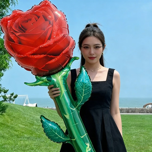 �¿�����˹���Ϧ�tɫõ�廨�XĤ����������Y�Ɍ��������b�