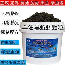 ������w���D���S�X�~�D���q���rС���r���r�T�D�C���r�\�~С�r��