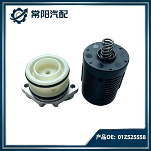 BR525558 01Z525558 Differential Filter Suitable for Volkswagen Audi Coaster Coupler Filter
