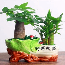 �lؔ�主�F�����մ������ԾGֲ����ֲ��d�ӻ��ɻ��������