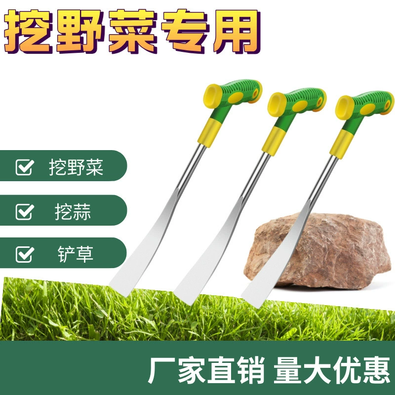 Копать дикие овощи, лопата, лопата, лопата, лопата, чеснок