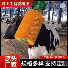电动牛体刷奶牛马体按摩清洗毛刷牧场牛体止痒清洁刷辊软毛机械