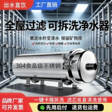 井水净化农村自来水全屋净水器家用过滤器进水管水塔大流量前置