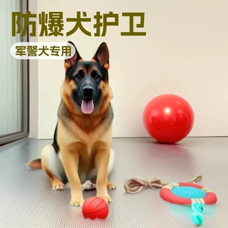 定制纯种德国牧羊犬大型防爆犬护卫犬军警犬幼犬活体狗狗宠物幼崽