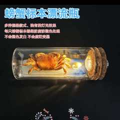 本物のカニの標本の漂流瓶の願い事の瓶の海底の世界の小さい夜の明かりの旅行の贈り物の記念品の3d立体