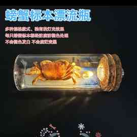 真实螃蟹标本漂流瓶许愿瓶海底世界小夜灯旅行礼品纪念品3d立体