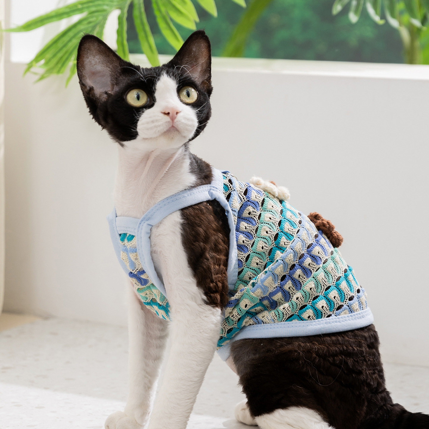 26 primavera y verano ropa de mascotas que osos huecos de flores eslingas perros chalecos respirables ropa de gato ropa de perro
