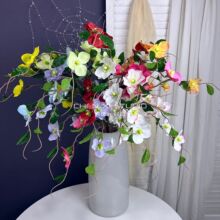 ��֦�����˿�����ɏѩĵ����������Y�ٻ���c�����b��S�����l